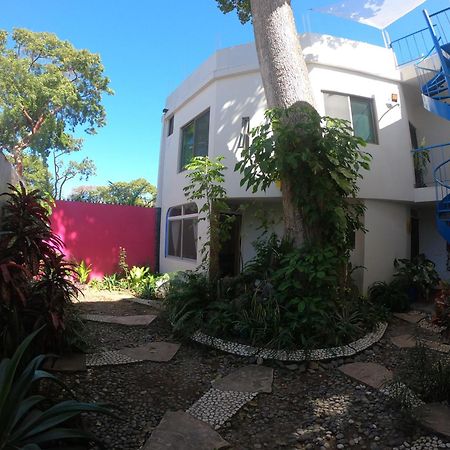 Casa Arbol De Paz Habitacion Doble Чакала Екстер'єр фото