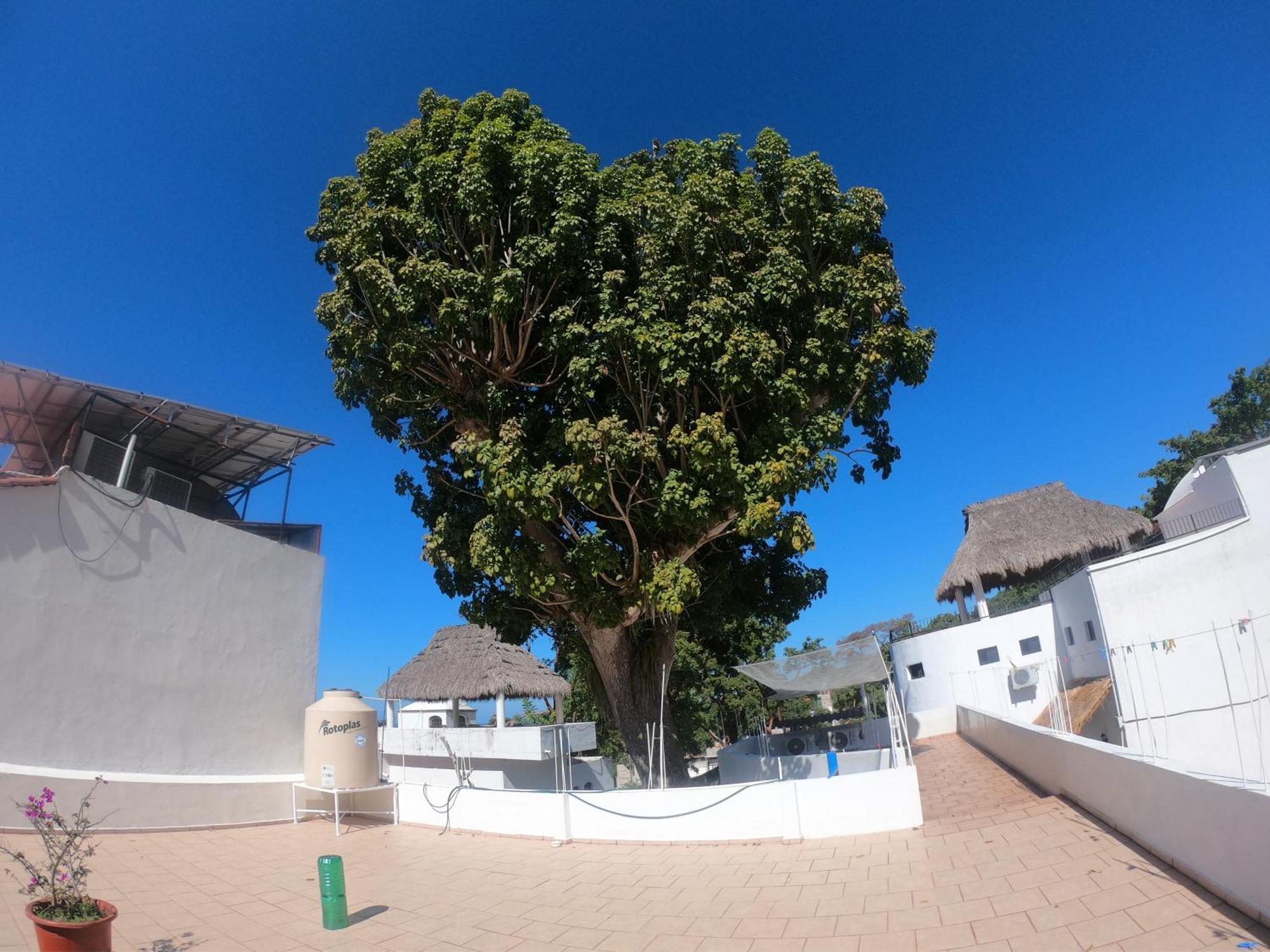 Casa Arbol De Paz Habitacion Doble Чакала Екстер'єр фото