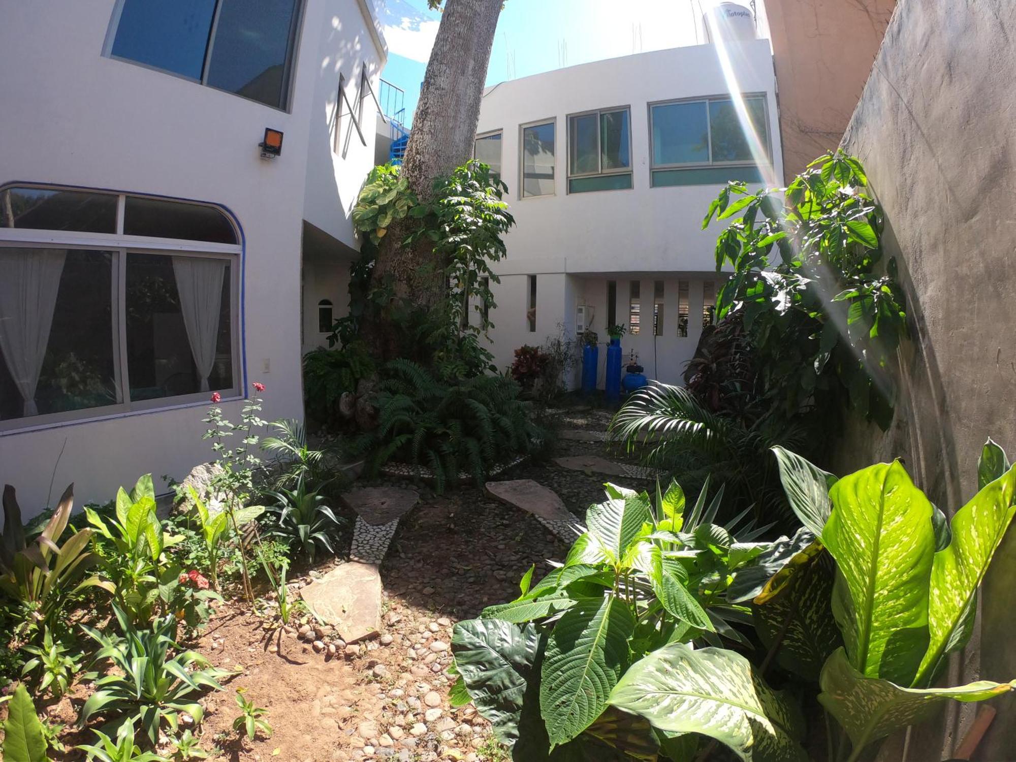 Casa Arbol De Paz Habitacion Doble Чакала Екстер'єр фото