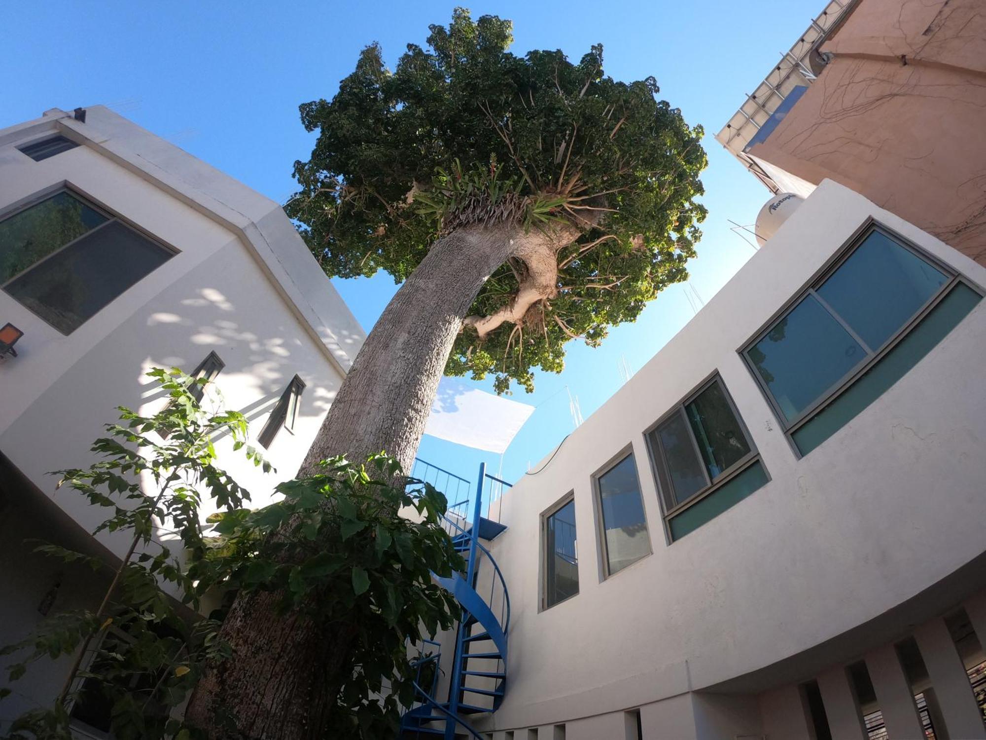 Casa Arbol De Paz Habitacion Doble Чакала Екстер'єр фото